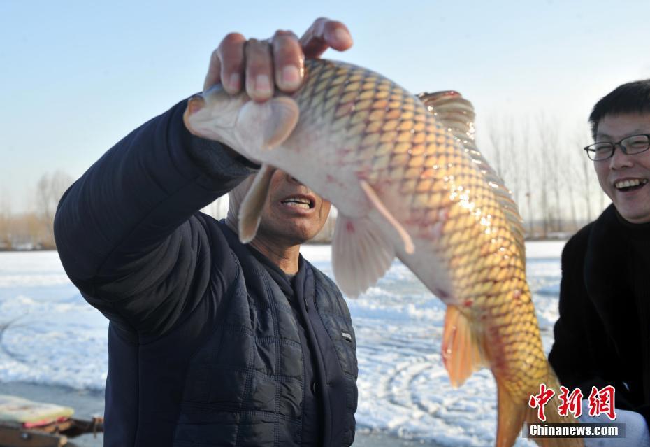 Xiongan in winter: frozen Baiyangdian Lake turns into natural playground