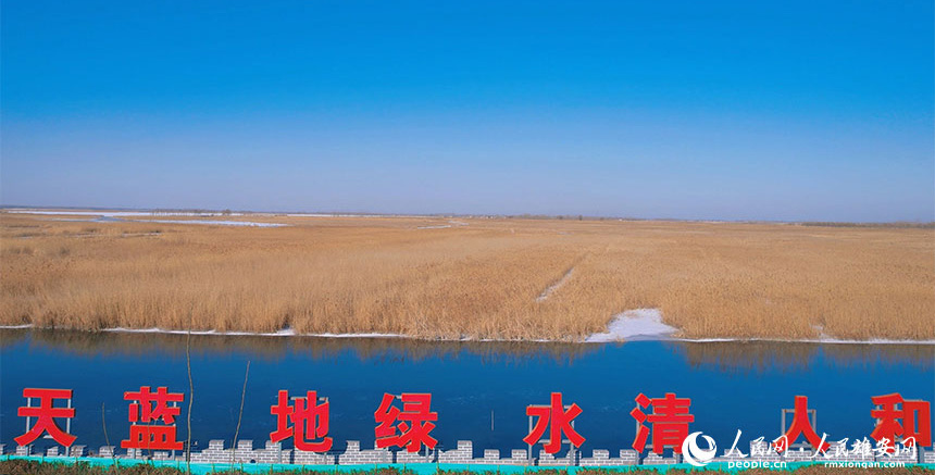 Baiyangdian Lake begins thawing as spring sunshine arrives in N China's Hebei