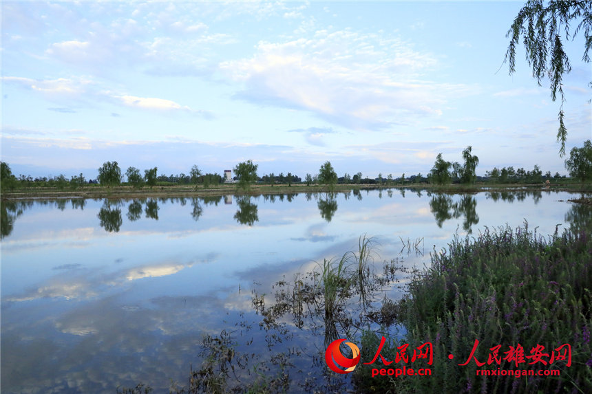 Photo shows Jintan park, a wasteland-turned park located along Nanjuma river to the east of Goushi village in Rongcheng county, Xiongan New Area, north China’s Hebei province. (Photo/Hu Zhong)